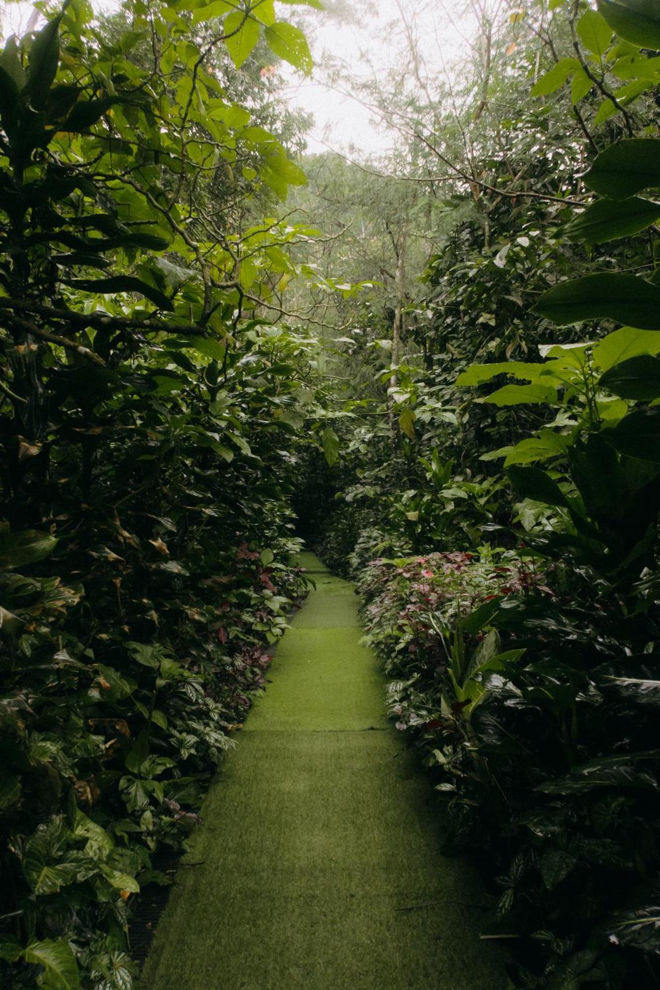Habitat Hills Hotel ซิซารัว ภายนอก รูปภาพ