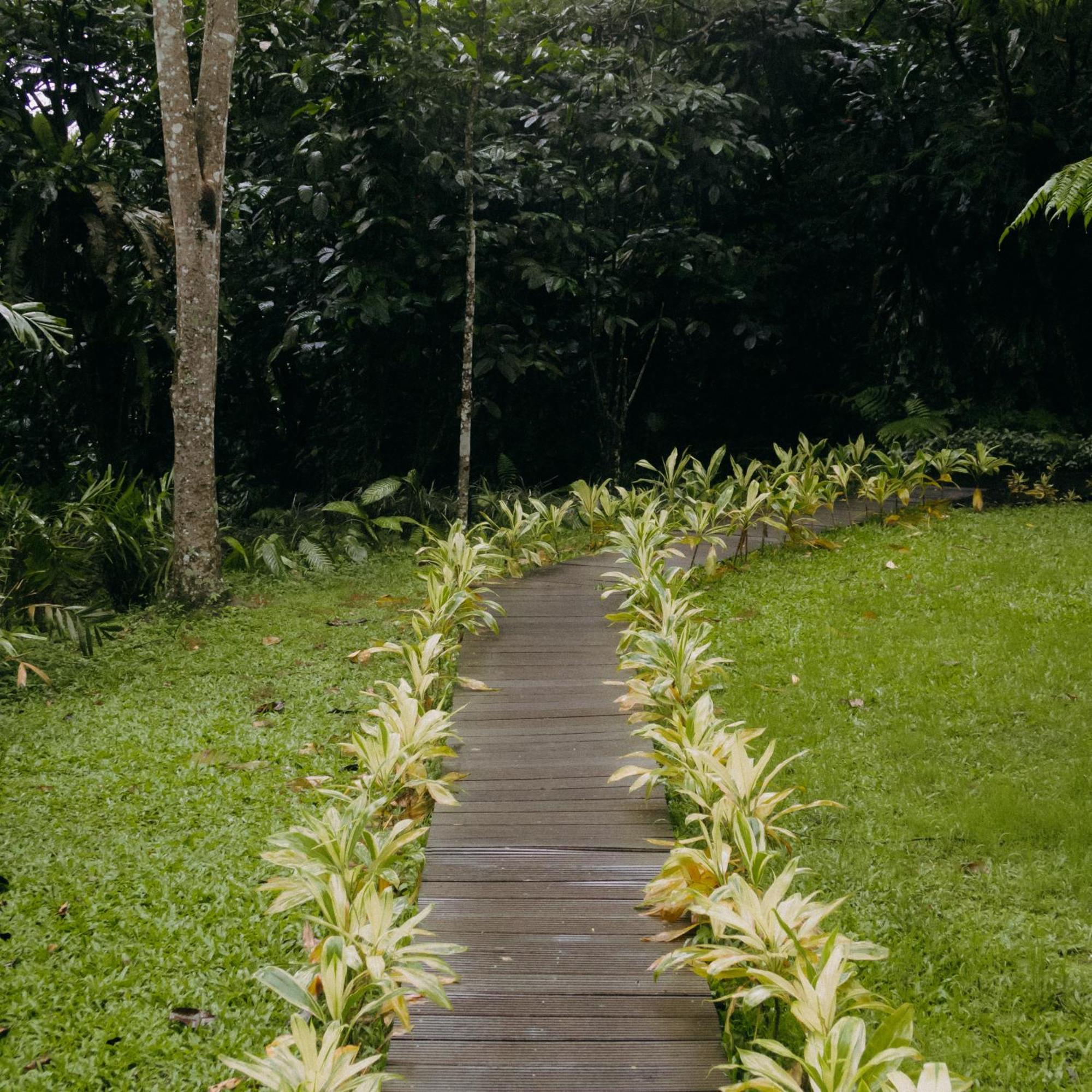 Habitat Hills Hotel ซิซารัว ภายนอก รูปภาพ